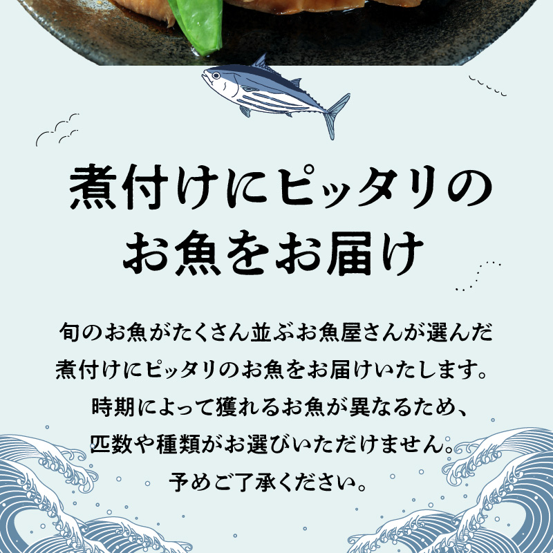 S121-002_煮付けコース