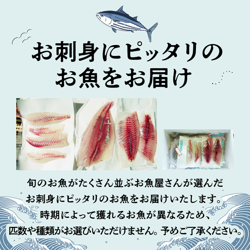 S121-003_刺身コース