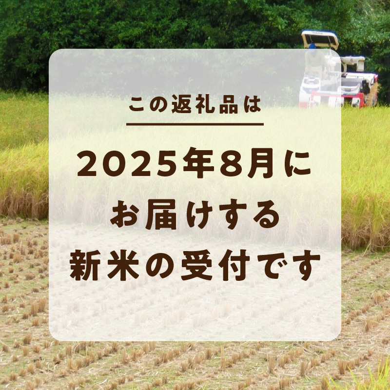 S128-002_熊本県天草産 早期新米 コシヒカリ 5㎏〈令和7年産 先行受付〉