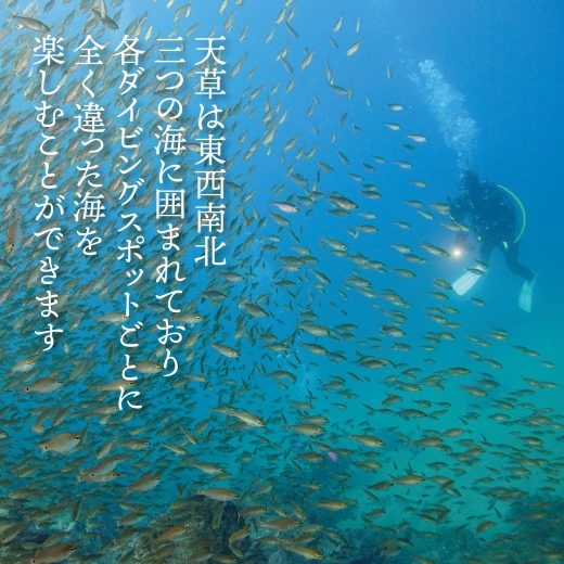 S134-004_よかよか体験チケット15,000円