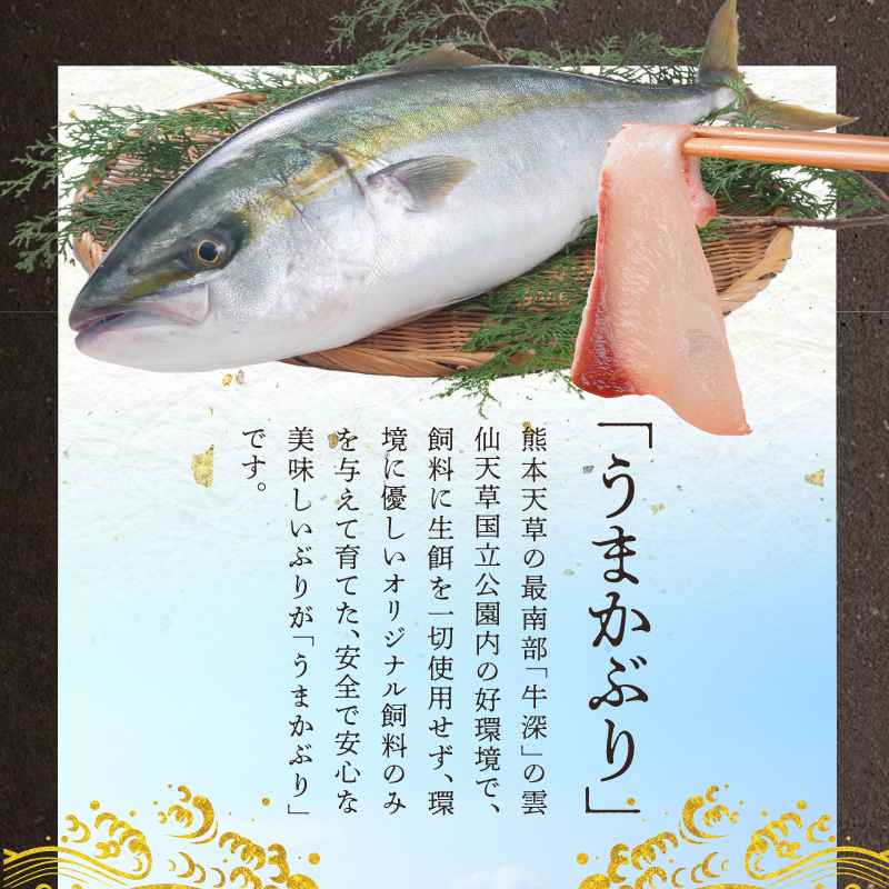 S137-002_うまかぶり 旨タレ仕込み 漬け 3種×2P セット