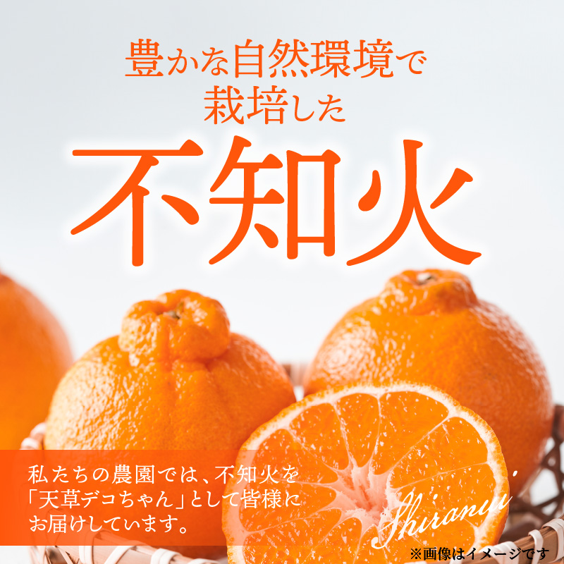 S153-001_天草産 不知火 約3kg【先行受付】