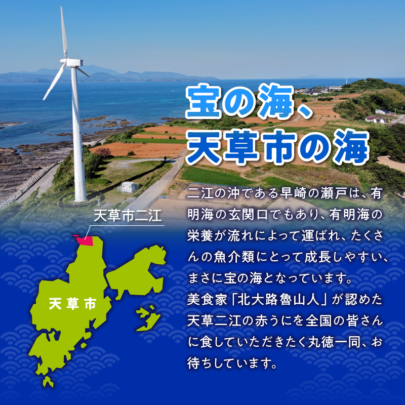 S157-004_天草二江の天然赤うに 60g 60g