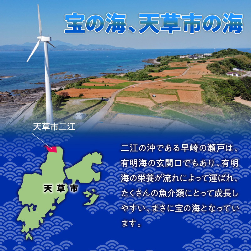 S157-012_天草二江の天然紫うに 100g 100g