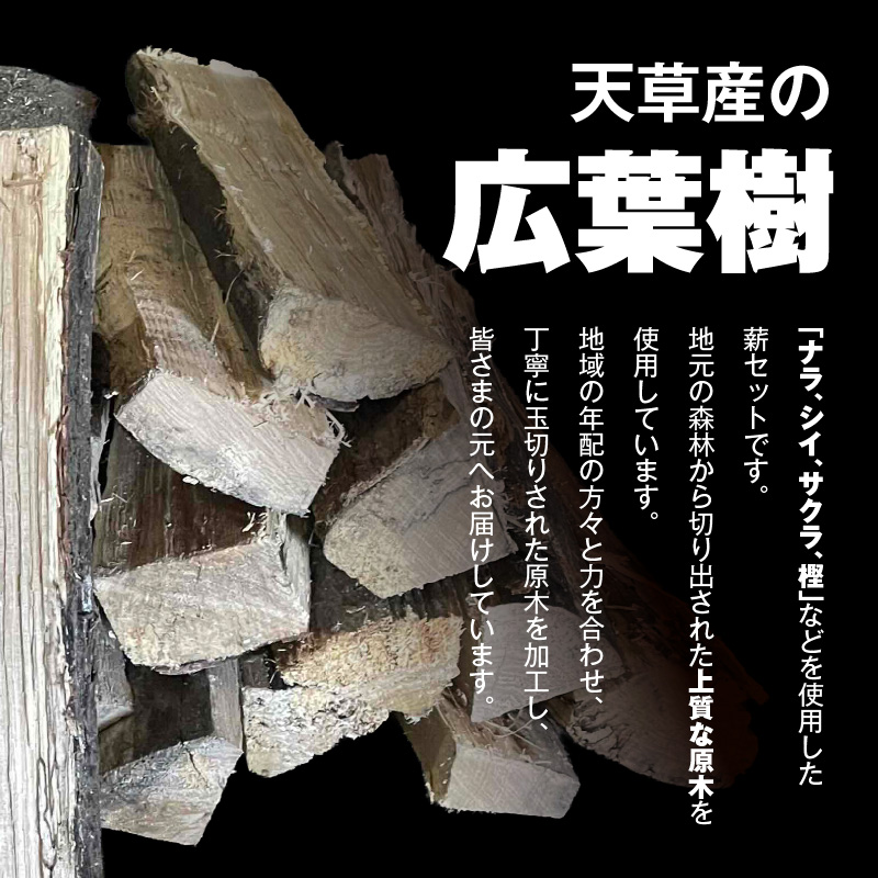 S163-016_魅力あふれる天草で育った広葉樹のミックス乾燥薪（30cm） 1箱（長さ30cm 16kg～18kg）×10箱