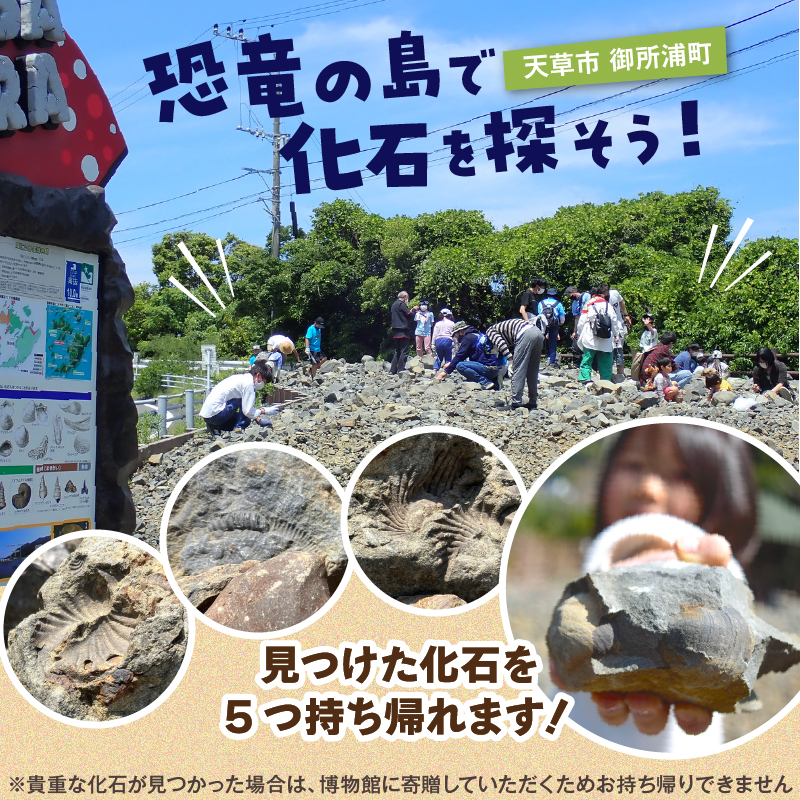 S174-004_化石ディグ利用券(4名様) 4枚