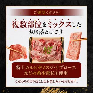 S001-026_黒毛和牛 焼肉 カルビ ロース 切り落とし 500g A4 ～ A5