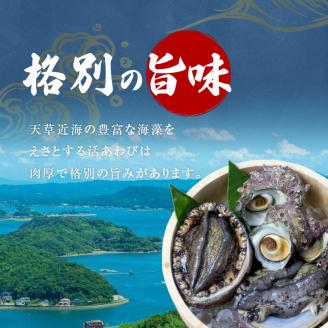 S002-017_天草産 活あわび・さざえ　浜焼きセット　　約2～3人前