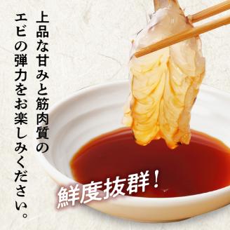 S005-007_【鮮度抜群】《美味しさの極み》天草産・幸福堂の活き車えび『海老王』（750g）〈先行予約〉