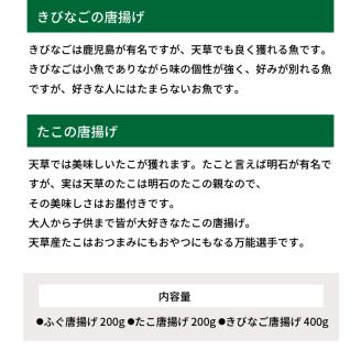 S011-018_【天草産】海の幸唐揚げ三昧
