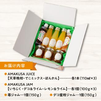 S024-010_天草 ジュース・ジャムセット