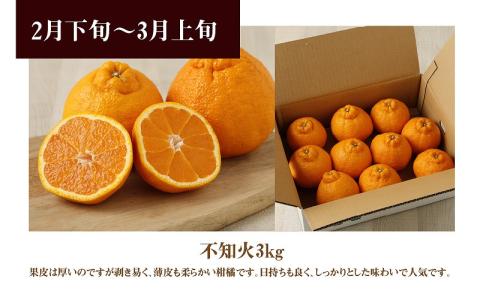 S040-013_【定期便 3回】厳選！天草 下浦地区の農家が愛情込めて育てた柑橘3種〈先行予約〉