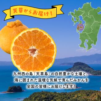 S142-002_不知火 約3kg箱【先行受付】