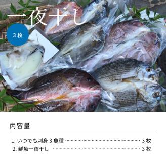 S059-005_いつでも刺身 3魚種 3枚＆鮮魚一夜干し 3枚セット