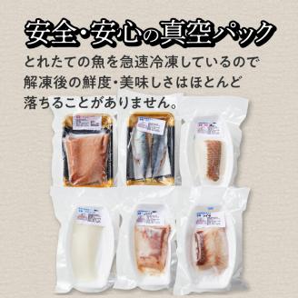 S059-014_天草わくわく旬魚刺身づくし（さく）5～6人前