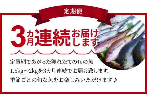 S059-T01_【定期便3回】旬の朝獲れ鮮魚を3ケ月連続お届け♪