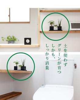 S060-076_エコ・ポチ チムニー 白 パキラ 観葉植物 白 パキラ