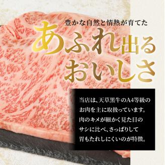 S074-013_天草黒牛 サーロイン ステーキ 2枚入 約500g 黒毛和牛 A4～5等級