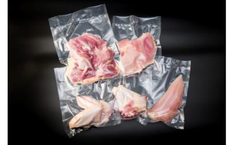 S081-012_天草大王半身セット（オス）