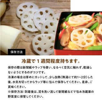 S089-008_訳あり 天草れんこん サイズ混合 約6kg