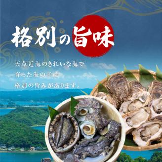 S002-020_【期間限定】天草の旬！バーベキューセット　約3人前