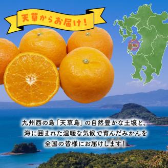 S142-001_天草ポンカン 約5kg箱【先行受付】