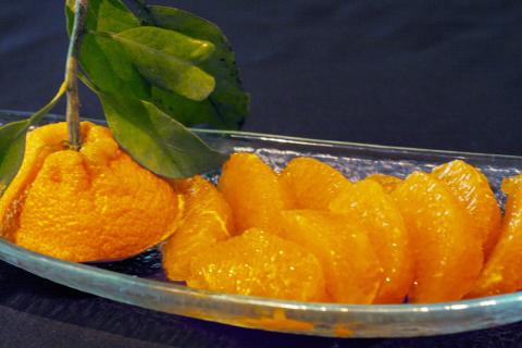 S097-002_天草市五和町産　肥の豊　約5kg〈先行受付〉