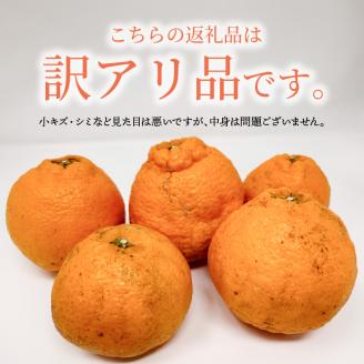 S153-002_天草産 訳あり 不知火 約5kg【先行受付】