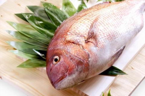 S105-001_めで鯛めし　天草産3・４人前2セット