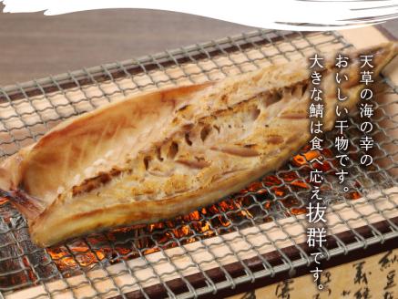 S113-002_まるまのひもの　さばづくし