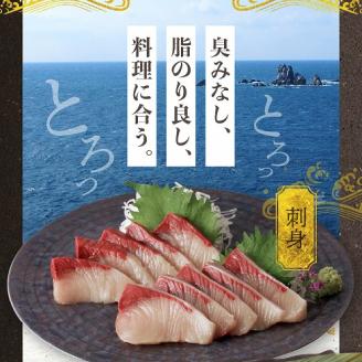 S137-004_【天草育ち】活じめ！うまかぶり生鮮フィーレ 約1.5kg（真空パックでお届け）