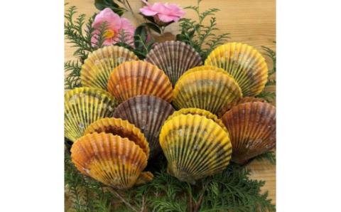 S123-001_えびすセット（活き車海老、緋扇貝、真牡蠣の詰め合わせ）