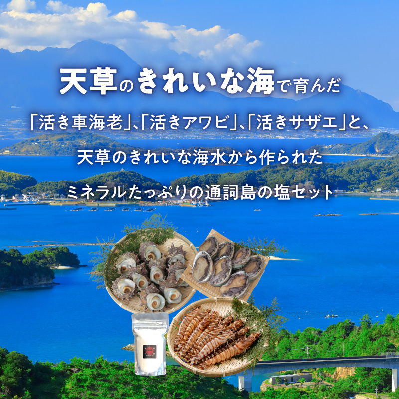 S002-004_蒼海セット(活き車海老・活きあわび・活きサザエ・天然塩)