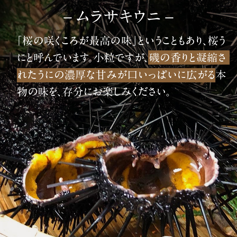 S002-022_殻出し生うに（ムラサキウニ）50g×2本 うに用醤油付【先行受付】