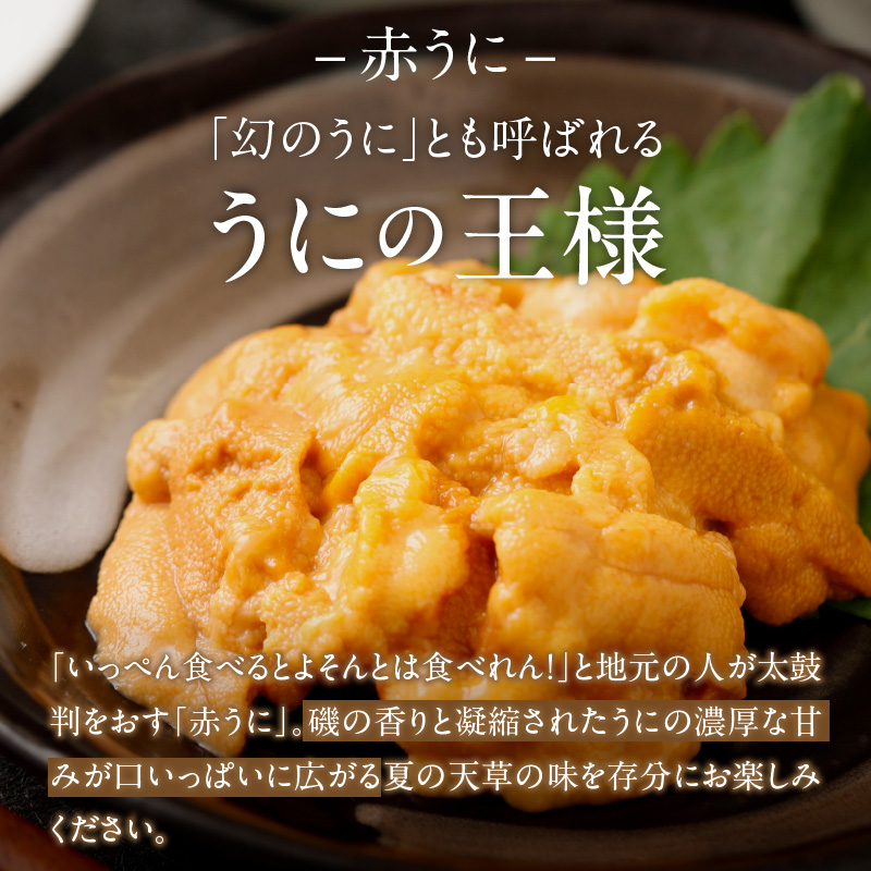 S002-023_殻出し生うに（赤うに）50g×2本 うに用醤油付