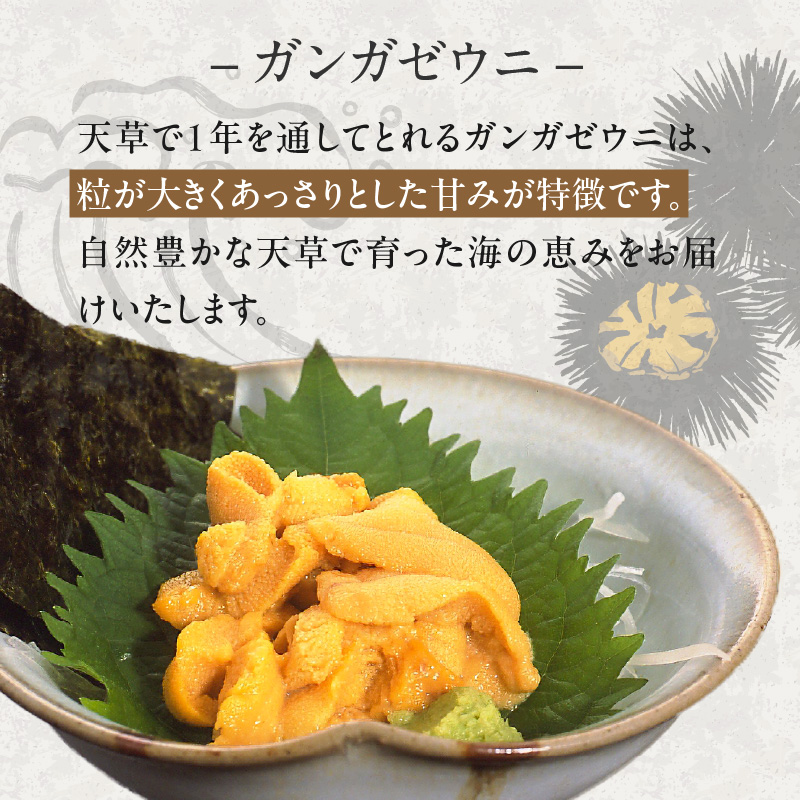 S002-024_殻出し生うに（ガンガゼウニ）50g×2本 うに用醤油付