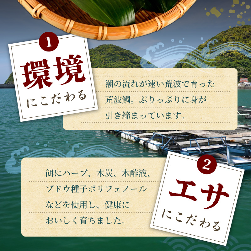 S006-016_鯛かぶと煮5個セット