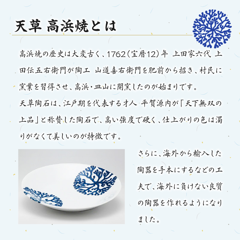 S026-060_天草 高浜焼 楕円カレー皿 1枚(赤) 赤