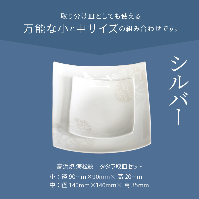 S026-099_天草 高浜焼 タタラ取皿セット シルバー1セット