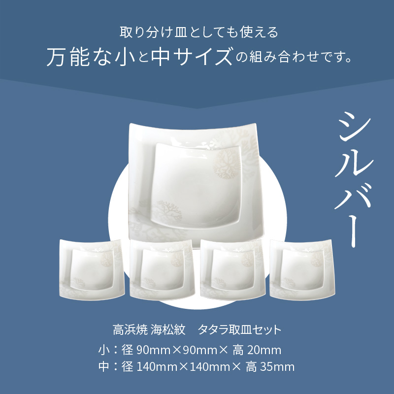 S026-119_天草 高浜焼 タタラ取皿セット シルバー5セット