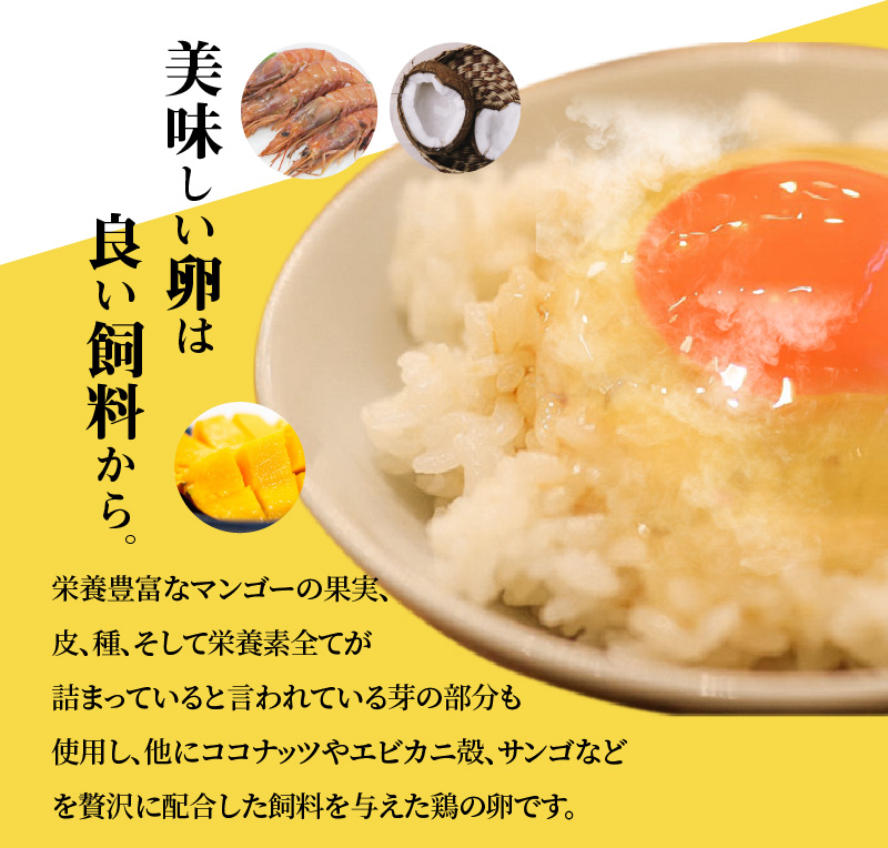 S038-T12_【定期便12回】天草 タマンゴ 6個 卵