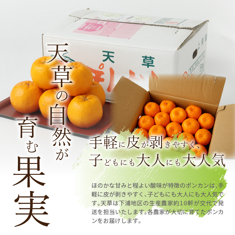 S040-006_農家の手摘み天草ポンカン 約5kg〈先行受付〉