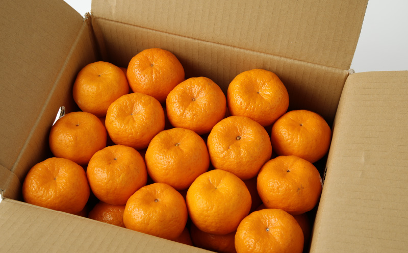 S040-007_農家の手摘み100年ポンカン 約5kg〈先行受付〉