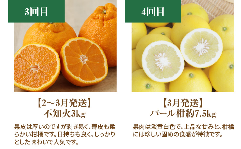 S040-017_【定期便5回】厳選！天草 下浦地区の農家が愛情込めて育てた柑橘5種〈先行予約〉