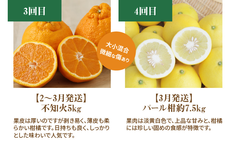 S040-018_【訳あり 定期便5回】天草 下浦地区の農家が愛情込めて育てた柑橘5種〈先行予約〉