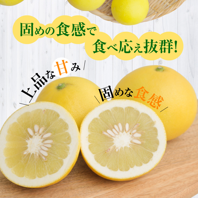 S040-022_農家の手摘み パール柑 7.5kg以上〈先行予約〉 7.5kg以上