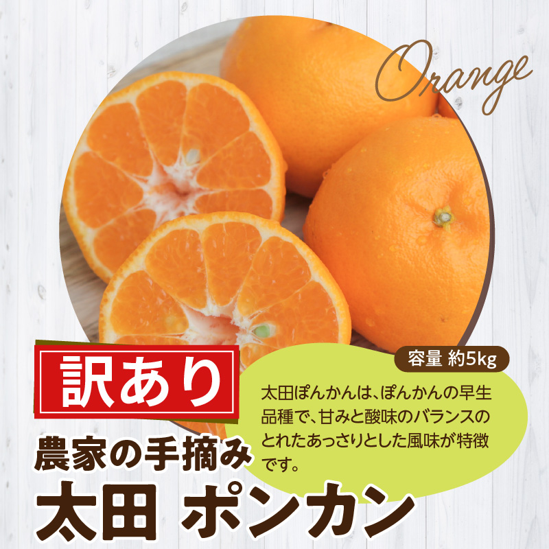 S040-027_【訳あり】農家の手摘み 太田 ポンカン 家庭用約5kg