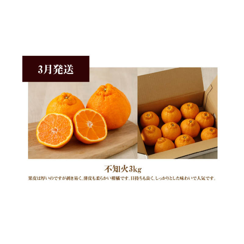 S040-T09_【お試し定期便】天草・下浦の旬の柑橘3種Bセット