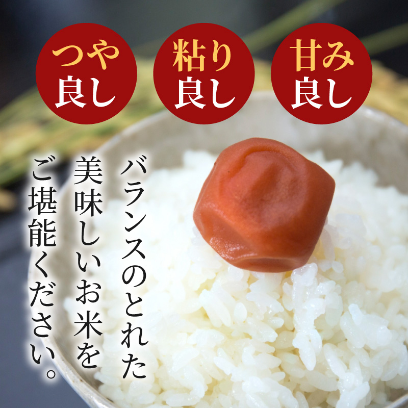 S050-007-R8_【令和8年産】コシヒカリ 精米 5kg