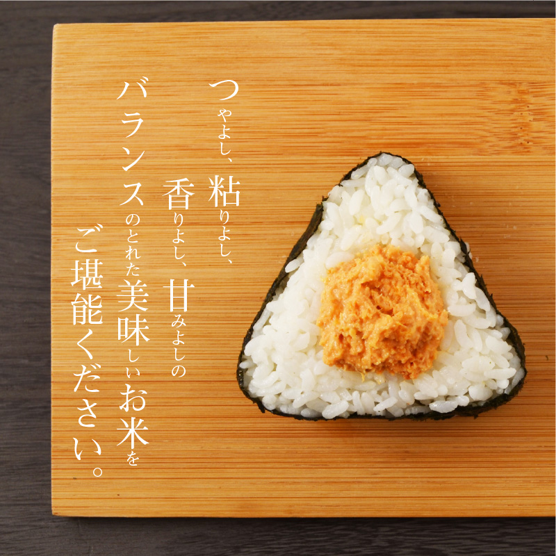 S050-007_【令和7年産】新米コシヒカリ 精米 5kg